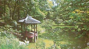 Oct '25 - Study Group - Korean Gardens
